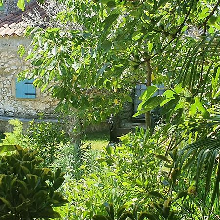 Villa Kazun With Private Pool And Two Gardens Marcana ภายนอก รูปภาพ